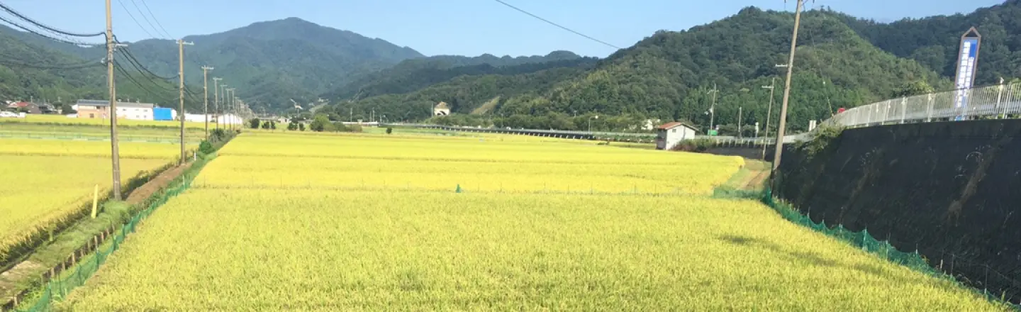 企業理念
